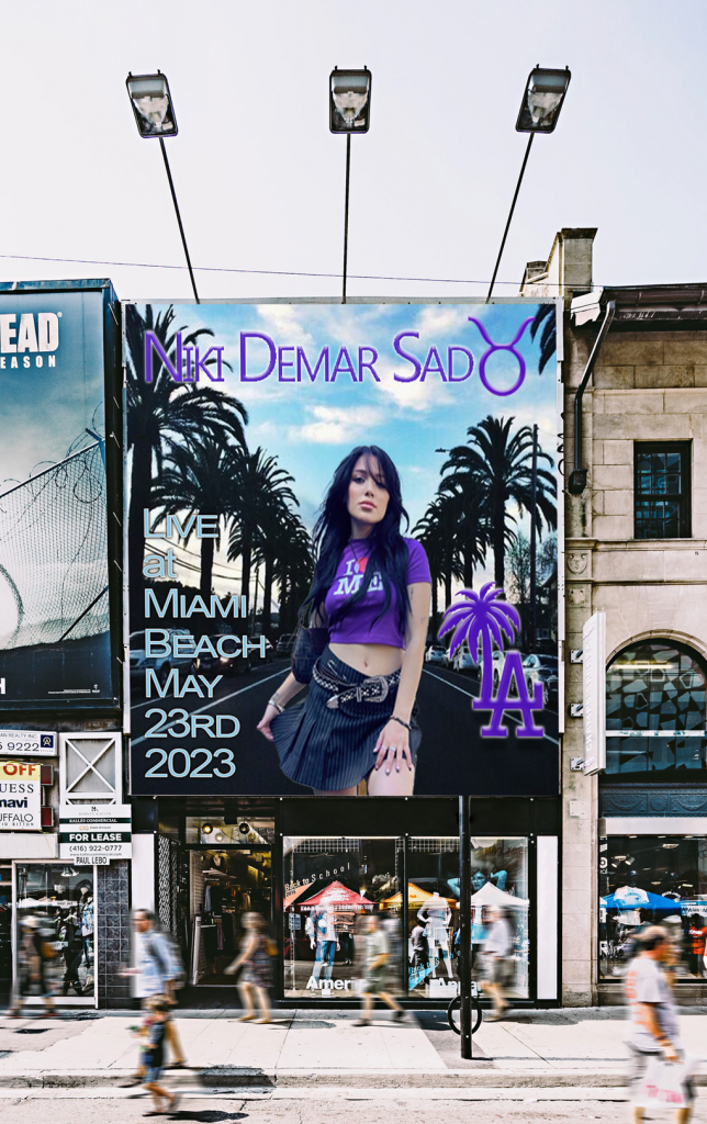 Niki DeMar Sad Taurus Poster Mockup